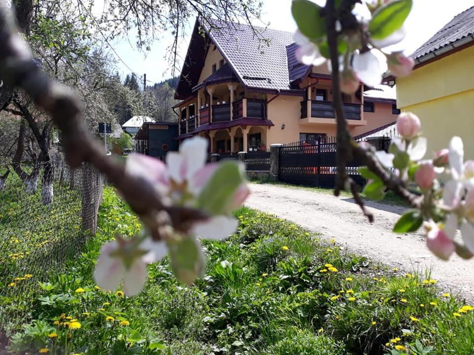 Hotel Karisma Kriss Sucevita Exterior foto